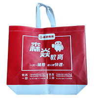 辽宁LB37培训班广告袋