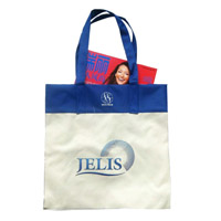 辽宁KB18  环保无纺布袋（可定制）